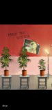 Weed Firm 2 Bud Farm Tycoon APK