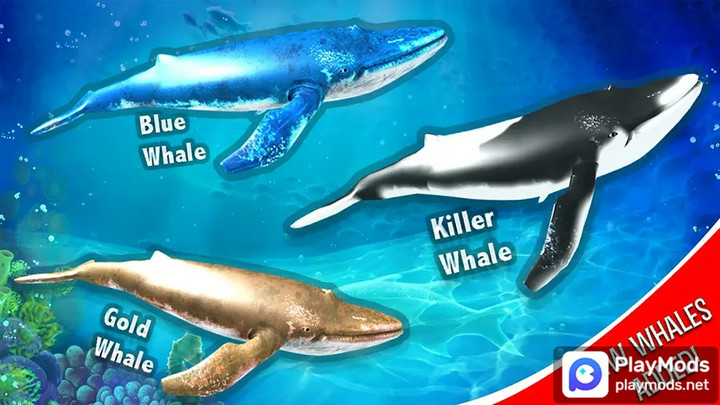Blue Whale Simulator - GameMod  Apk v1.1.8(Unlimited Resources)