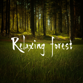 Forest relax. Sounds of nature