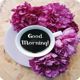 Good Morning Love
