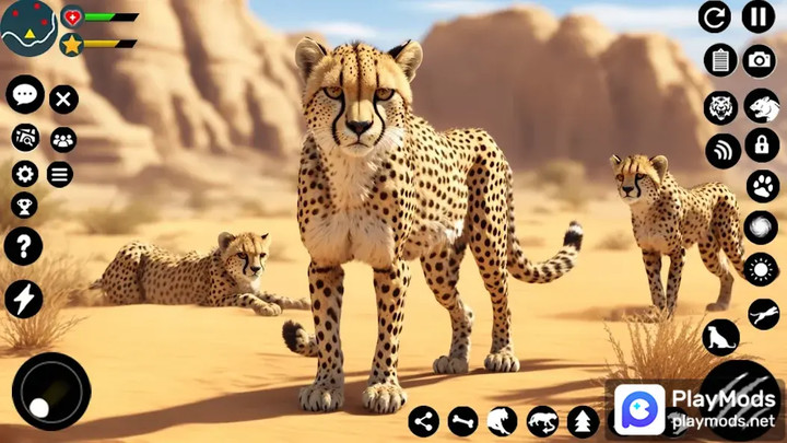 Wild Cheetah Family SimulatorMod  Apk v2.2(Unlimited Resources)