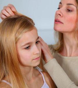 Head Lice Tips