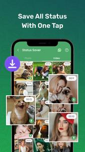 WA Status View & Story Saver