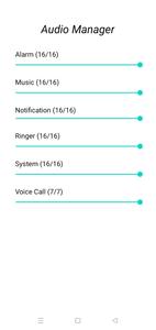 Audio Manager