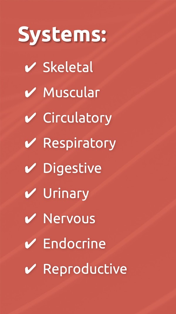 Human Anatomy - Body parts