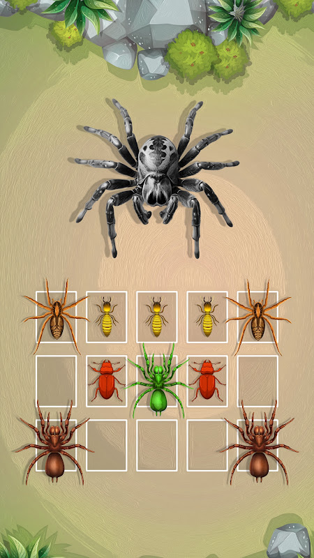 Ants Battle