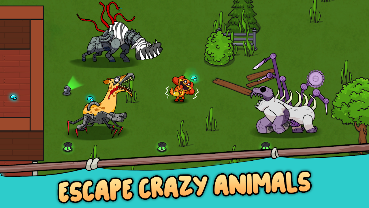 Zoo Critters