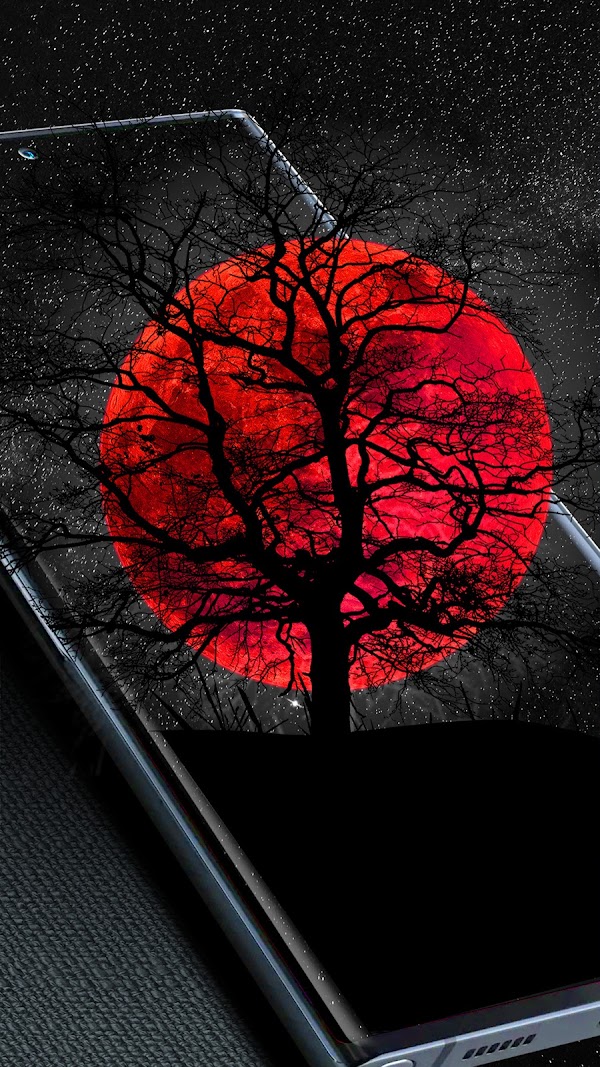 3D Live Wallpapers 4D video 4K