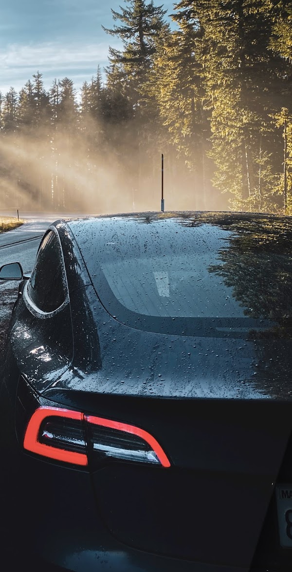 Tessie — For your Tesla